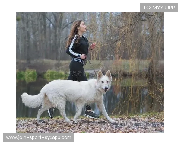 世界冠军跑步带狗拉爆全场：运动与萌宠的完美交汇