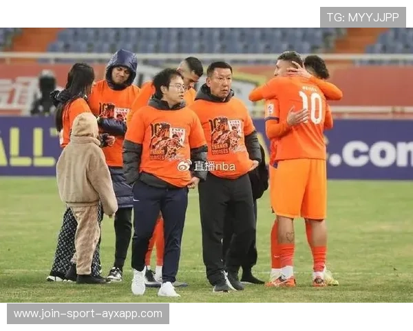 梅米舍维奇加盟鲁能，球迷期待新援表现